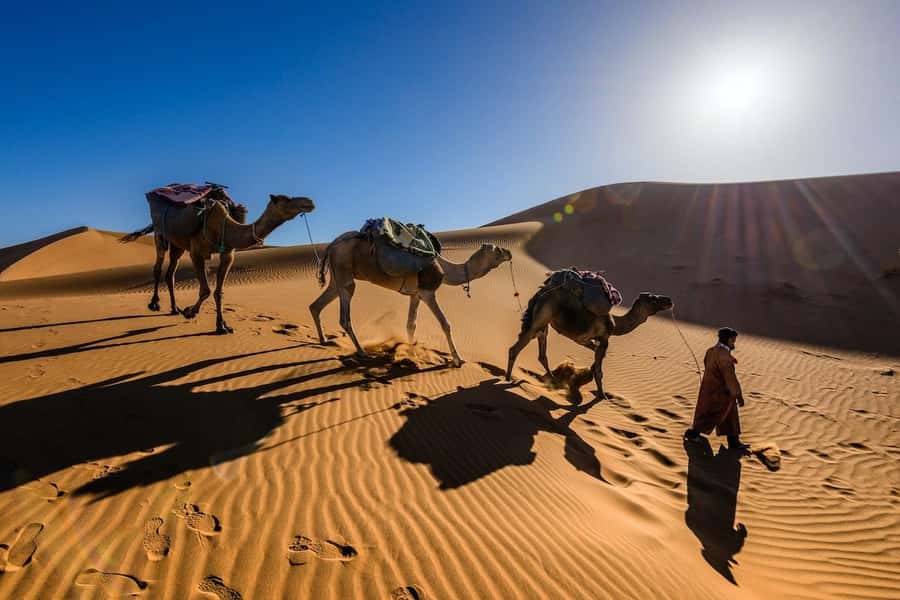 From Marrakech: 3-Day Luxury Desert Tour to Fes via Merzouga - The guide and driver factor: why names keep popping up