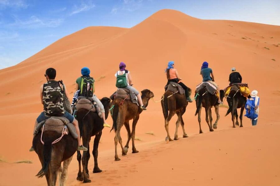 From Marrakech: 3-Day Merzouga and Sahara Desert Camel Trip - Driver, group comfort, and the small things that make or break it