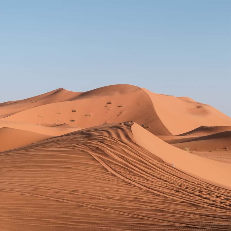 From Marrakech: 3 Day Round Trip To Merzouga Desert & Camel - Price and Value: What You’re Really Paying For