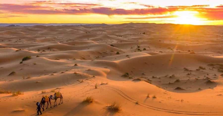 From Marrakech: 3 Days Desert Tour To Merzouga Luxury Camp - Camel ride and sandboarding: fun, timing, and what to plan for