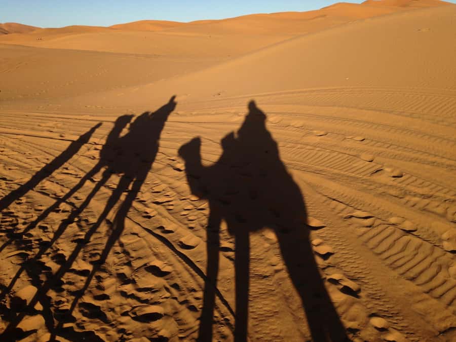 From Marrakech 3 Days Sahara Luxey Camp - Where Todra Gorge earns its place on the itinerary