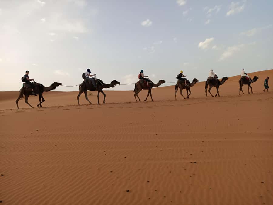 From Marrakech: 4-Day Morocco Sahara Desert Experience - Day 1: Marrakech to the High Atlas, then Ait Ben Haddou to Dades