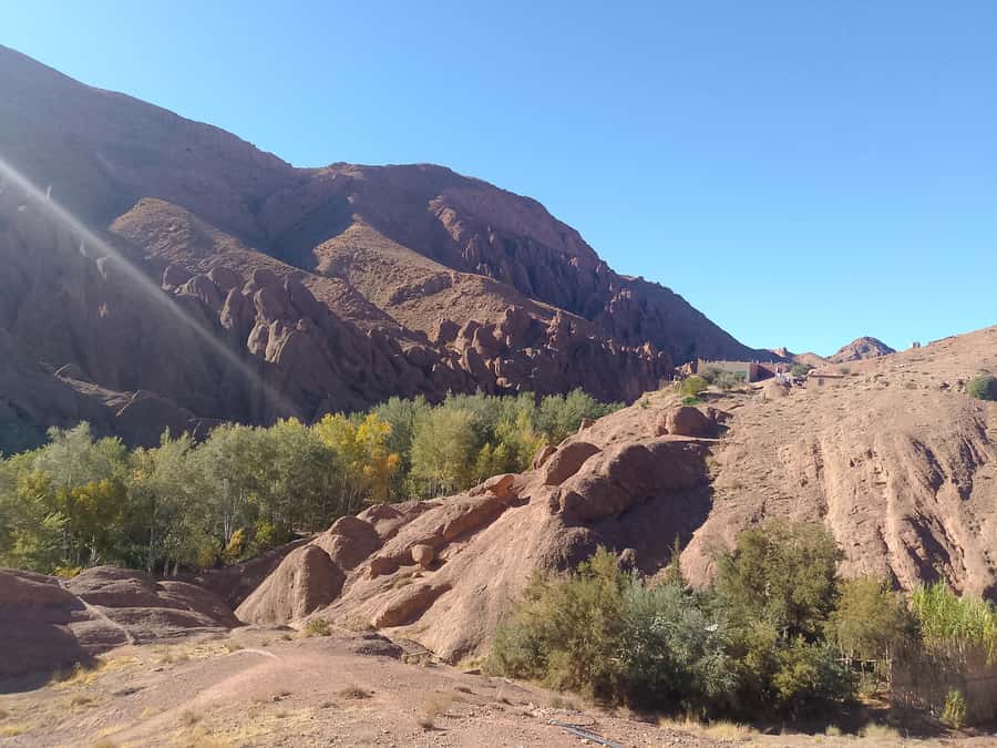 From Marrakech: 4-Day Morocco Sahara Desert Experience - Day 4: Return across the Atlas to Marrakech, with one last pass over Tizi nTichka