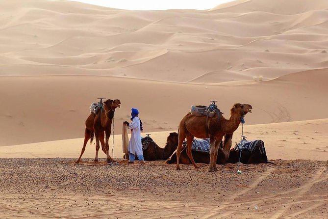 From Marrakech 4 Days Tour To Morocco Sahara Desert - Marrakech departure and the rhythm of a real road trip