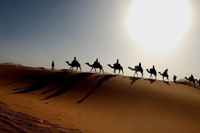 From Marrakech 4 Days Tour To Morocco Sahara Desert - Day 3 sunrise, second camel ride, and returning through palms