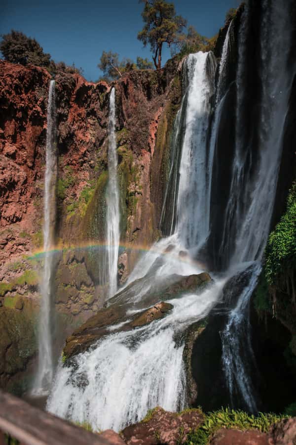From Marrakech: A day Trip to Ouzoud waterfalls - Why Ouzoud Waterfalls feels like a real Atlas escape