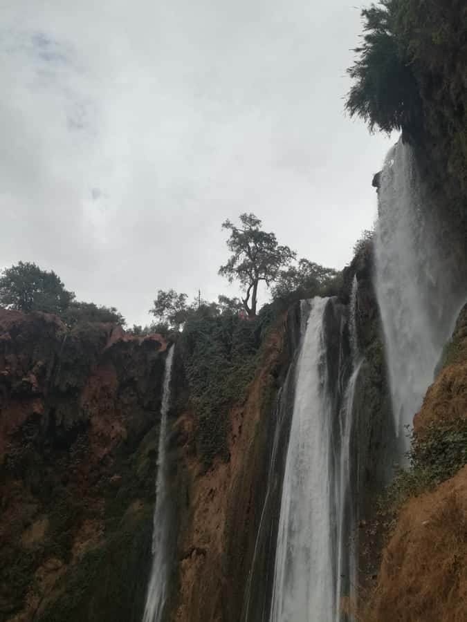 From Marrakech: A day Trip to Ouzoud waterfalls - Pools, mist, and how to enjoy the water without rushing