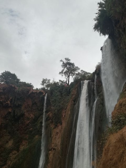 From Marrakech: A day Trip to Ouzoud waterfalls - Barbary macaques: fun to see, best from a safe distance