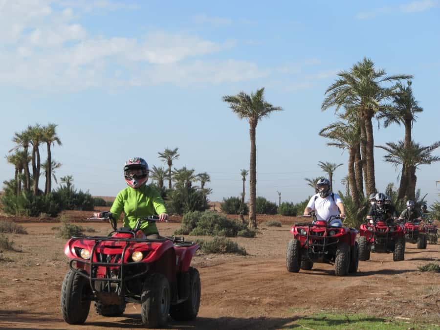 From Marrakech: Adventure Quad Ride in La Palmeraie - Key highlights you will care about