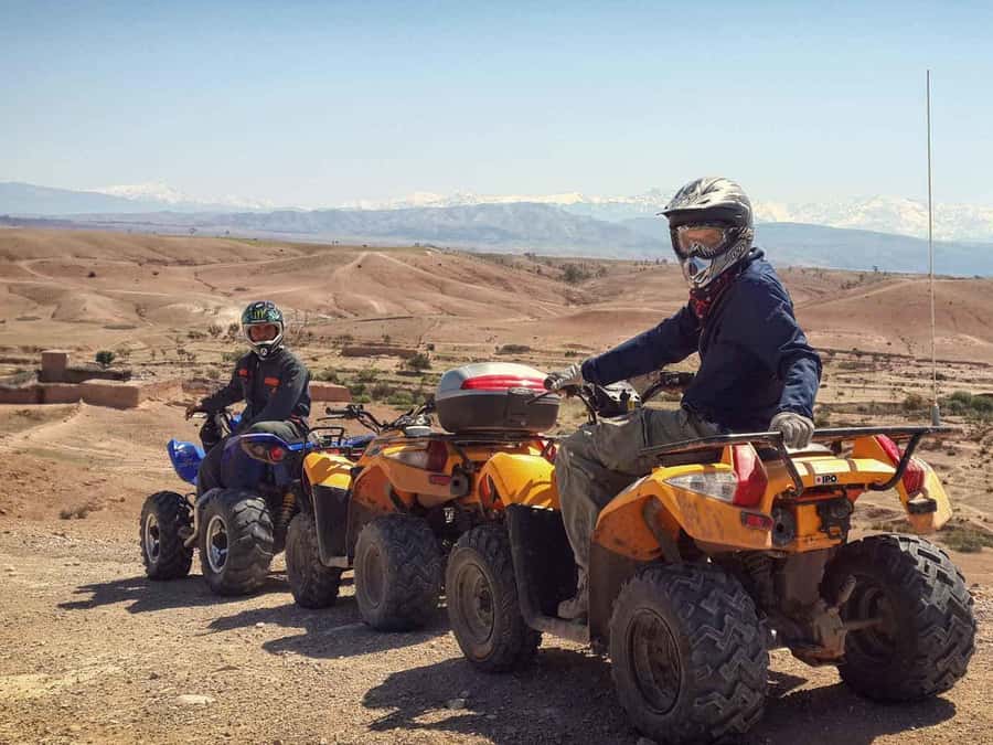 From Marrakech: Adventure Quad Ride in La Palmeraie - Who this quad ride is best for (and who should skip it)