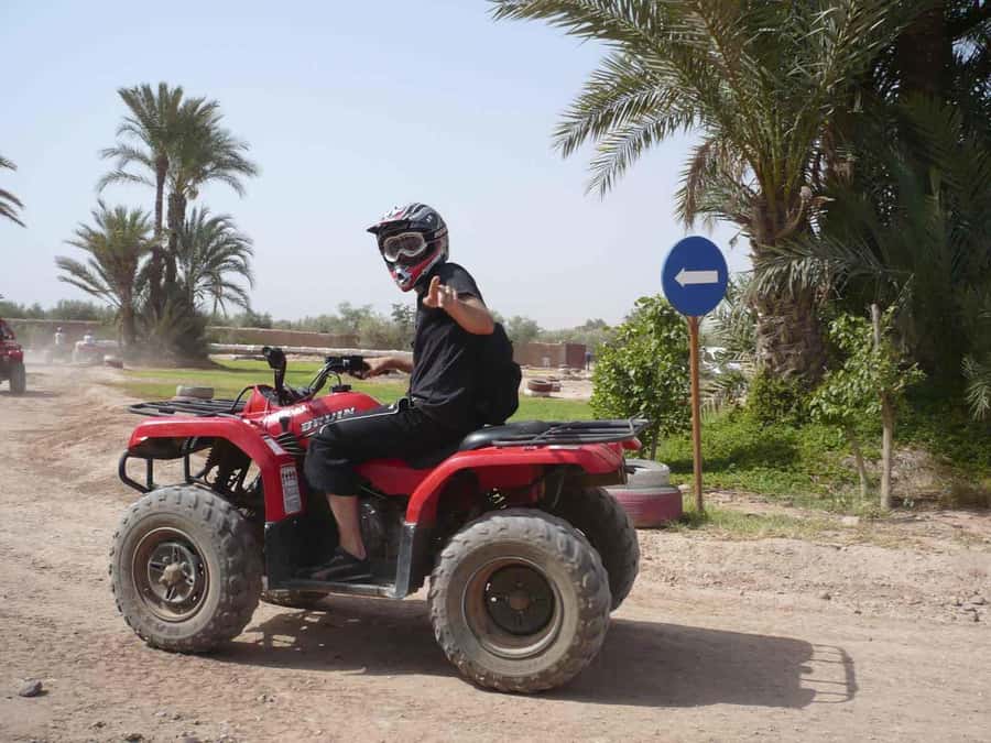 From Marrakech: Adventure Quad Ride in La Palmeraie - Should you book the Marrakech Palmeraie quad ride?