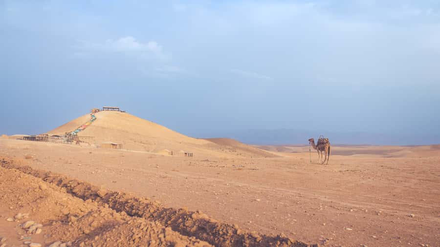 From Marrakech: Agafay Desert Camel Ride and Dinner and Show - Dinner under a Berber tent, what you should expect to eat