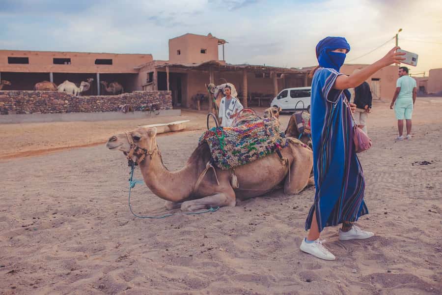 From Marrakech: Agafay Desert Camel Ride and Dinner and Show - The show after dark: belly dancing, folklore, and Gnaoua music
