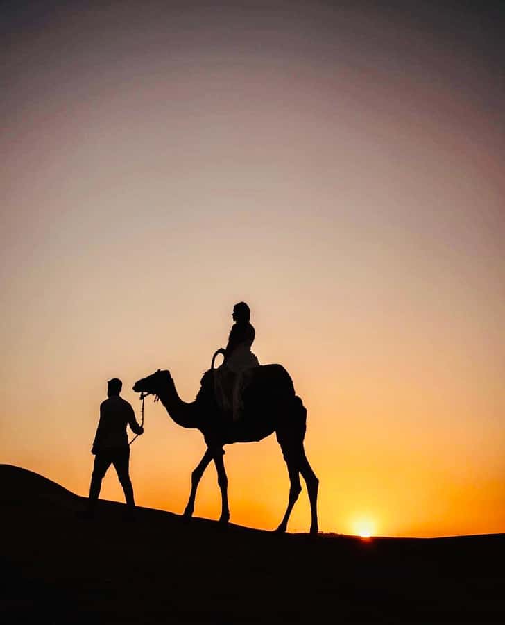 From Marrakech: Agafay Desert Dinner and Optional Camel Ride - Price and Value: Why $22 Often Feels Like a Win