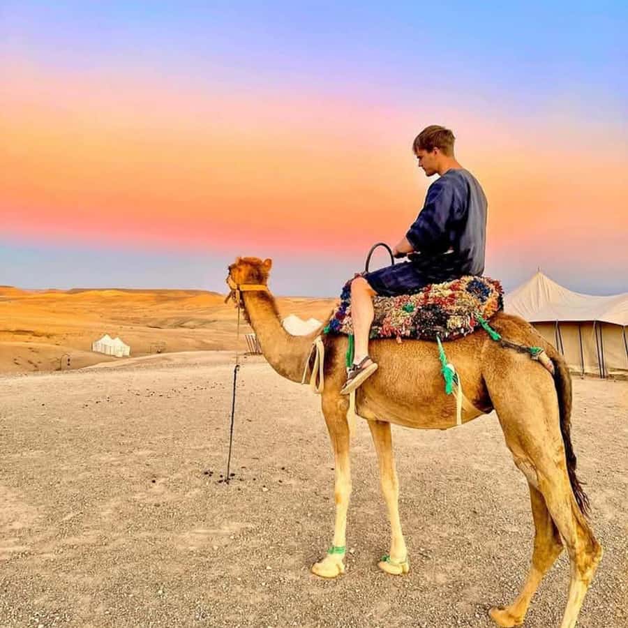 From Marrakech: Agafay Desert Dinner with Quad & Camel Ride - Key Things I Think Matter Most Here