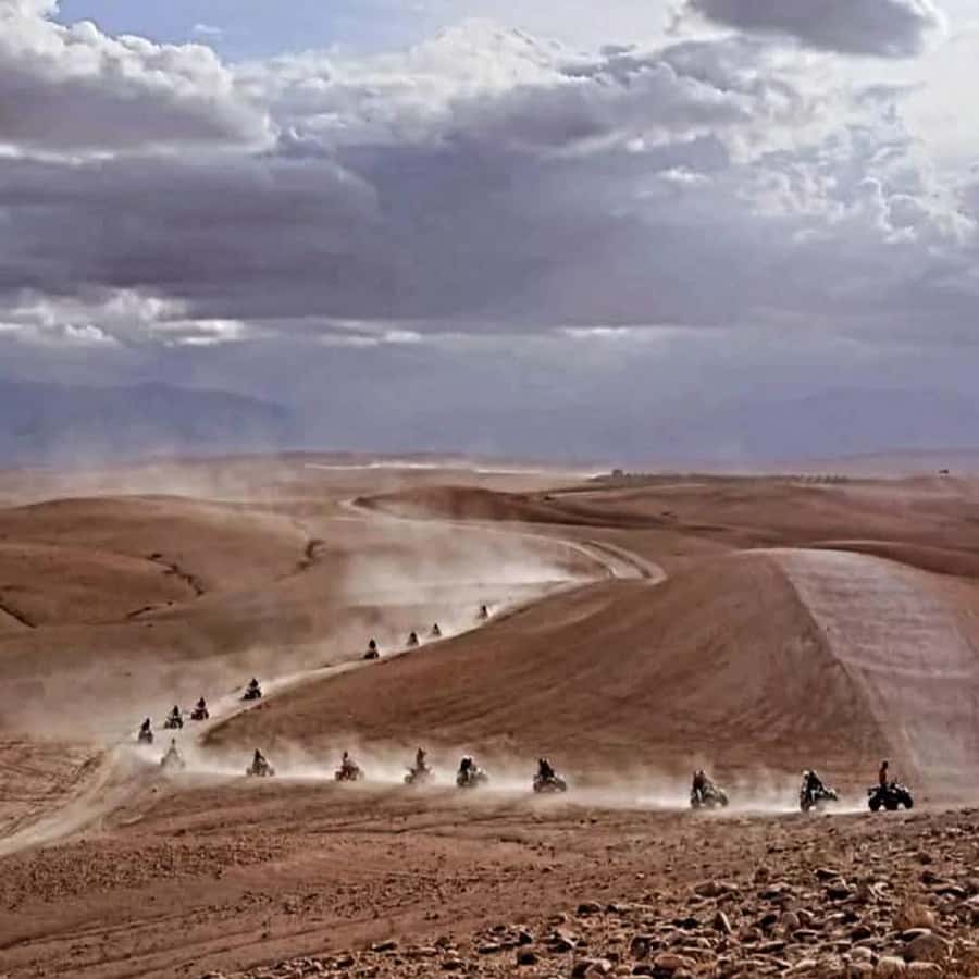 From Marrakech: Agafay Desert Dinner with Quad & Camel Ride - Price and Value: What $23 Buys You in the Real World