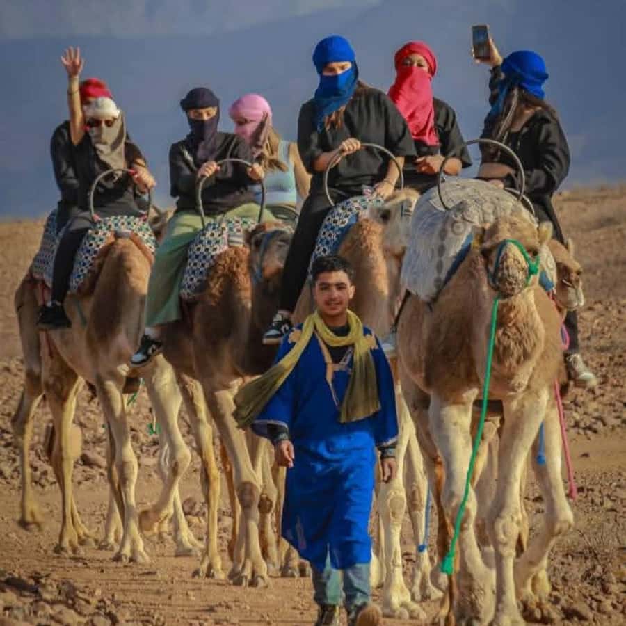 From Marrakech: Agafay Desert Dinner with Quad & Camel Ride - What to Bring (and Wear) for Comfort in Agafay