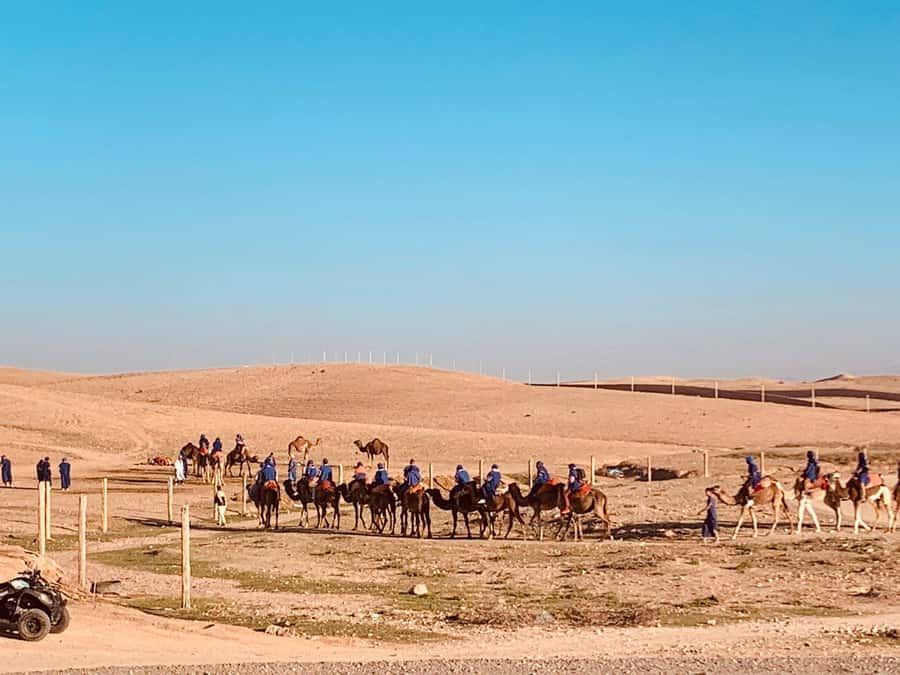 From Marrakech: Agafay Desert Sunset, Camel Ride, and Dinner - Marrakech van ride: the 45 minutes that set your mood