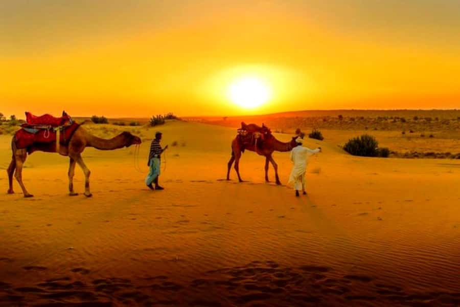 From Marrakech : Agafay Desert Sunset Dinner with Camel Ride - Sunset Over the Dunes: Why the Timing Matters