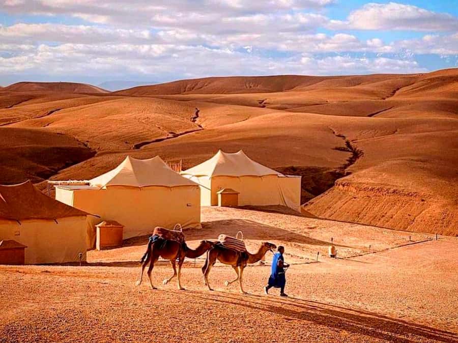 From Marrakech : Agafay Desert Sunset Dinner with Camel Ride - Price and Value: Is $34 a Good Deal?
