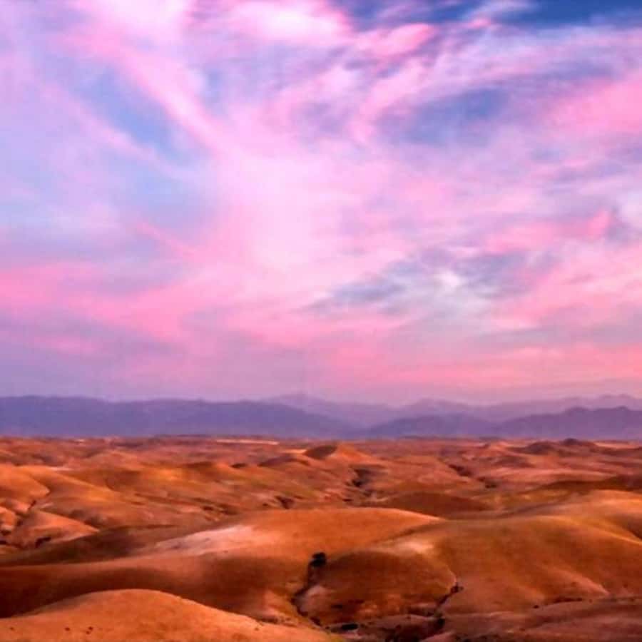 From Marrakech: Agafay Desert Sunset Dinner with Live Show - Camel rides and quad biking, how to choose without regrets