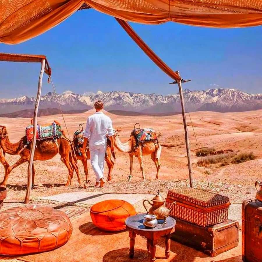 From Marrakech: Agafay Desert Sunset Dinner with Live Show - The argan oil women’s cooperative stop, what you’ll actually see