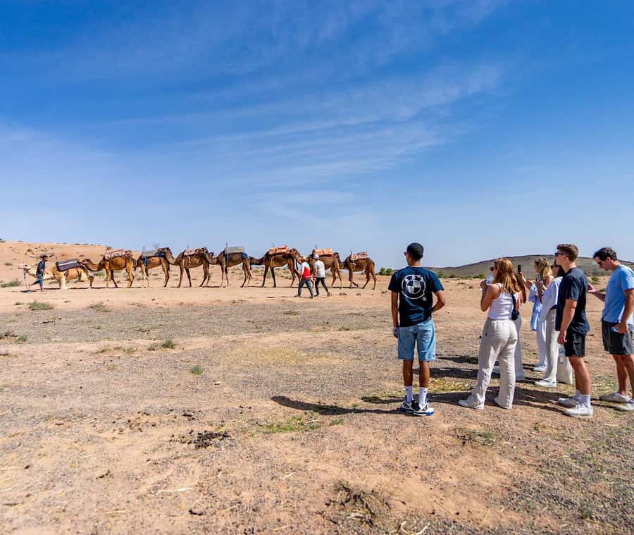 From Marrakech: Agafay Sunset Camel Tour with Dinner & Show - Camp Timing: Berber Tea, Campfire Energy, and the Calm Before Dinner