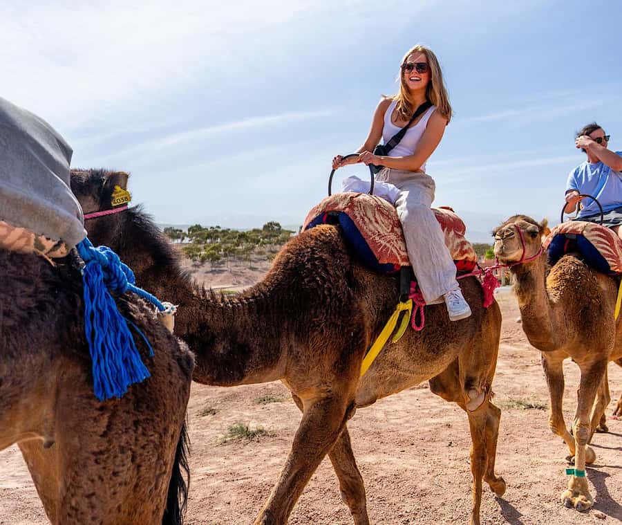 From Marrakech: Agafay Sunset Camel Tour with Dinner & Show - The Show: Two Berber Music Groups and a Cirque-Style Performance