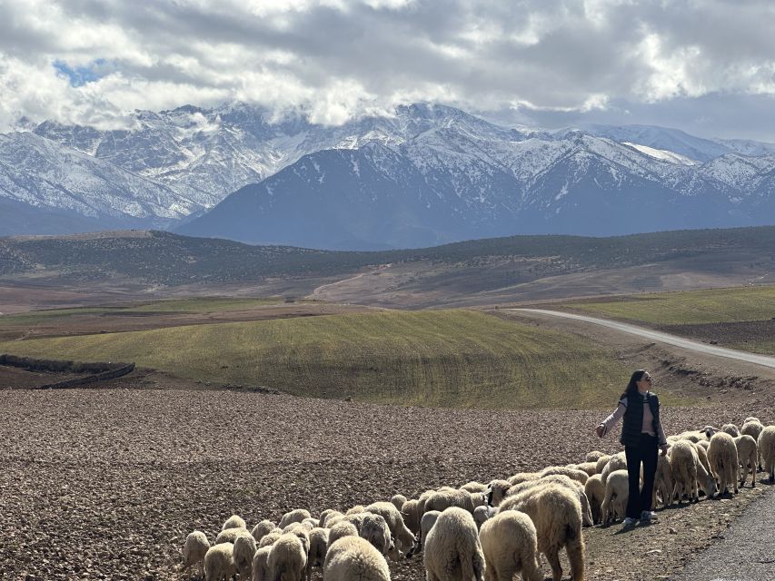 From Marrakech: Atlas Mountains 4-Day Hike with Hotels - Key points before you lace up