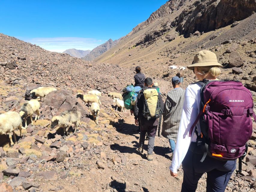 From Marrakech: Atlas Mountains 4-Day Hike with Hotels - Food and guesthouses: what you actually get at night