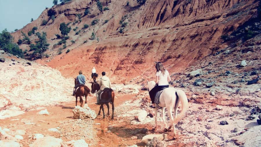 From Marrakech: Atlas Mountains 45-Minute Horseback Ride - The 45-minute horse ride: what you actually get
