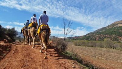 Atlas Mountains 45-Minute Horseback Ride