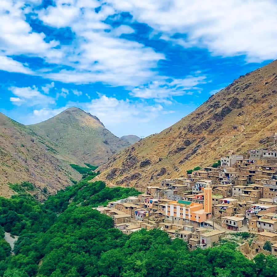 From Marrakech: Atlas Mountains and Berber Village Day Trip - Key highlights you’ll actually notice