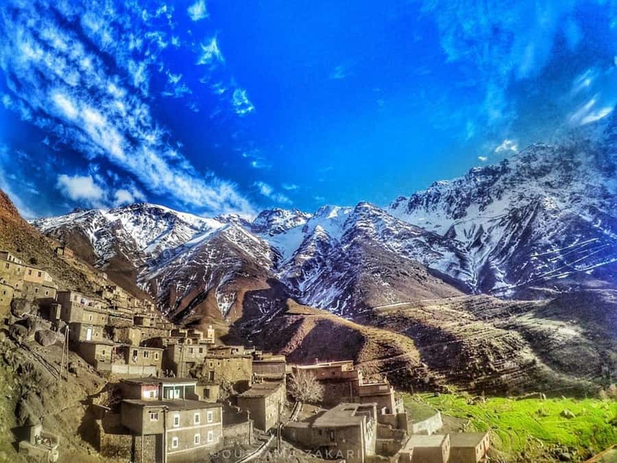 From Marrakech: Atlas Mountains and Berber Village Day Trip - Who this day trip is best for