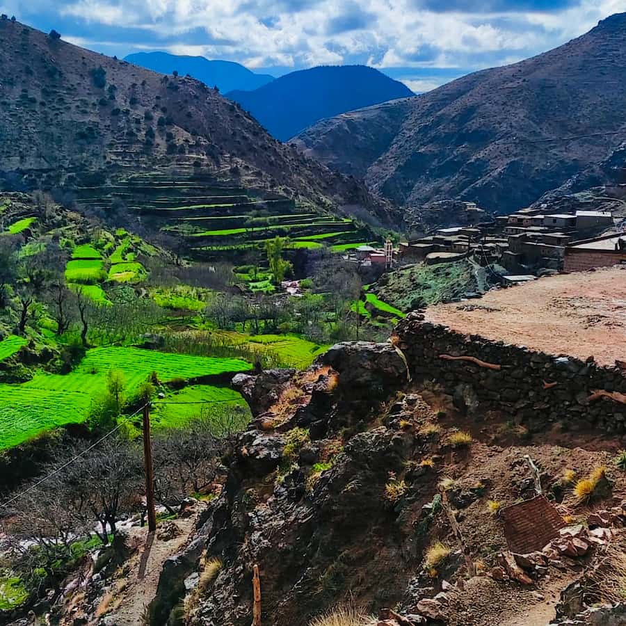 From Marrakech: Atlas Mountains and Berber Village Day Trip - Tahnaout and the argan co-operative stop that makes sense
