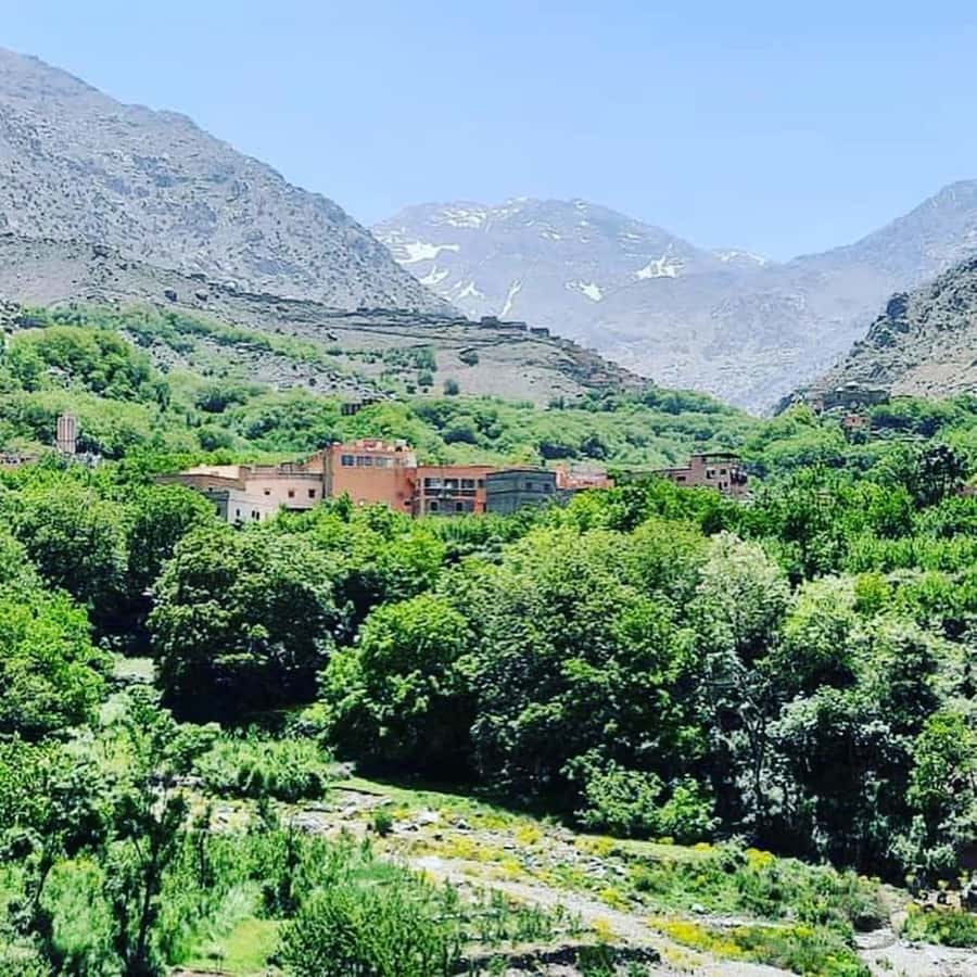 From Marrakech: Atlas Mountains and Berber Village Day Trip - What to bring, based on how the day actually plays