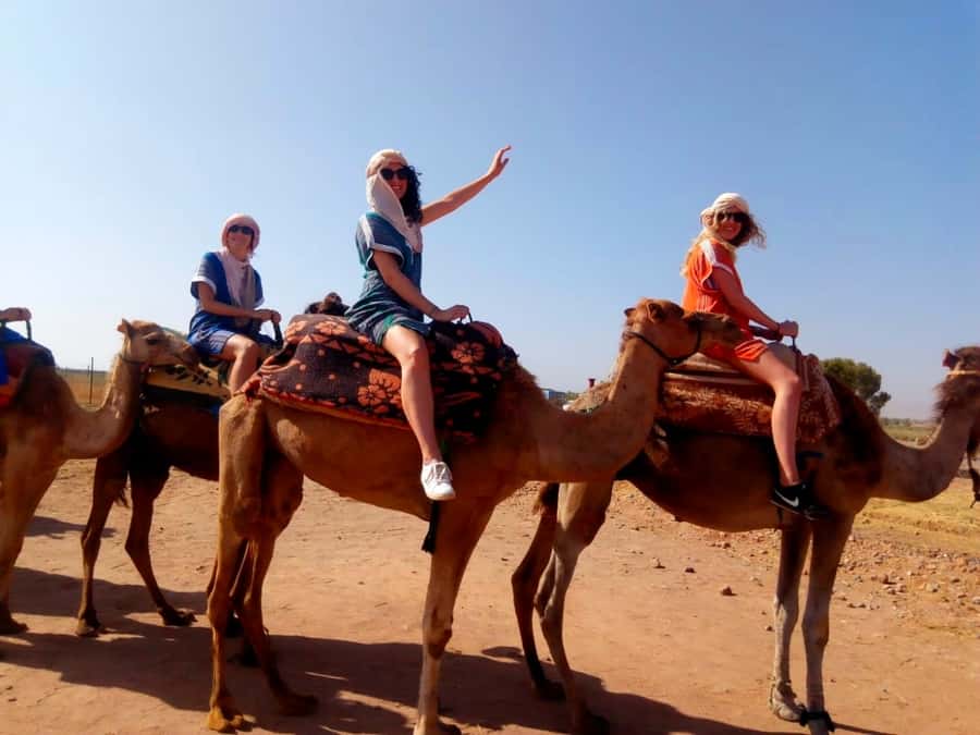From Marrakech: Atlas Mountains and Three Valleys Day Trip - Azrou and the argan oil cooperative: shopping with context