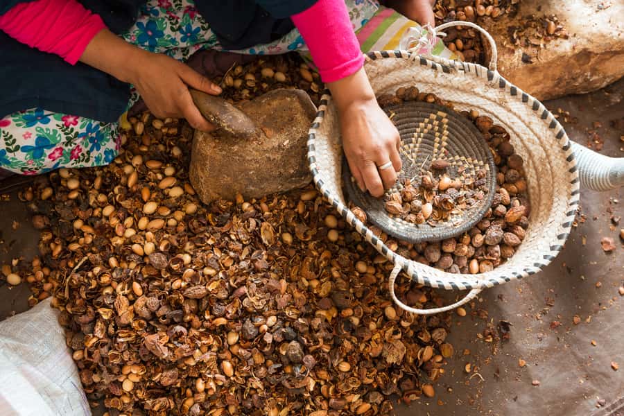 From Marrakech: Atlas Mountains Day Trip with Camel Ride - Key highlights worth your time