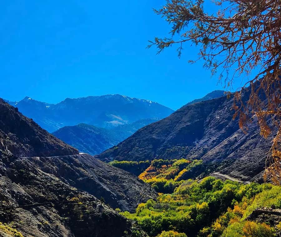 From Marrakech: Atlas Mountains Day Trip with Camel Ride - Price and what $17 buys you in the mountains