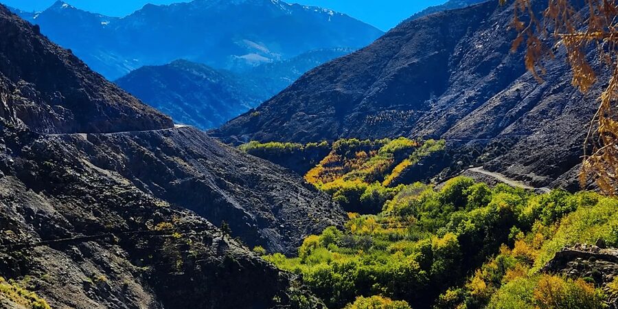 From Marrakech: Atlas Mountains Day Trip with Camel Ride - Tamatert terraced views and Ait Souka lunch