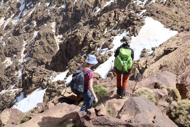 From Marrakech: Atlas Mountains Talamrout Summit day hike & Trek - Through pine and cedar to the Adrar Talamrout summit (2,600m)