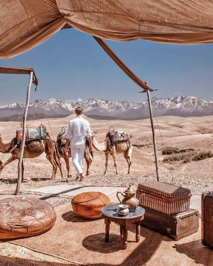 From Marrakech: Camel, Quad Bike Tour, Sunset, Dinner & Show - Key highlights worth your attention