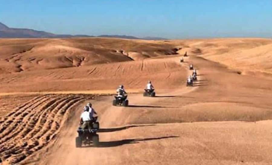 From Marrakech: Camel, Quad Bike Tour, Sunset, Dinner & Show - Berber camp dinner, then music, dance and fire