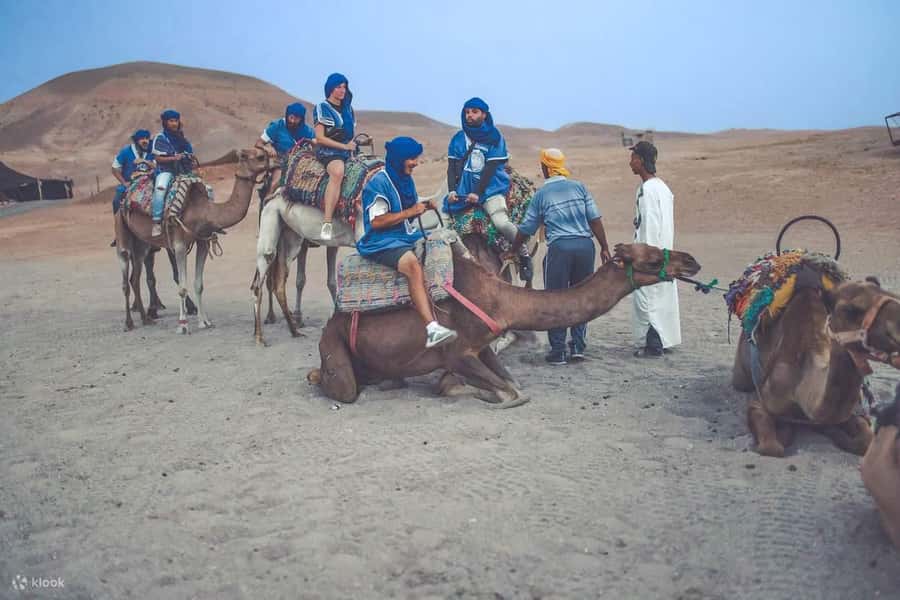 From Marrakech: Camel, Quad Bike Tour, Sunset, Dinner & Show - How the timing feels, and who this tour is best for