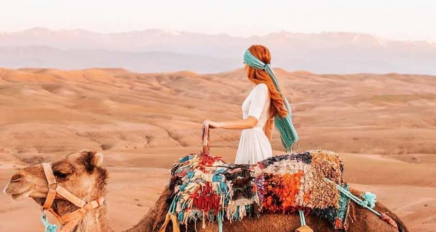 From Marrakech: Camel, Quad Bike Tour, Sunset, Dinner & Show - What could go wrong, and how to protect your evening