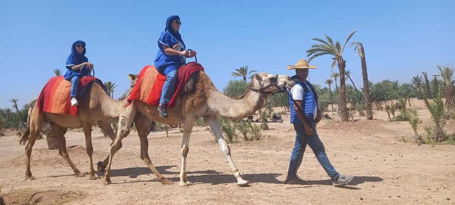 From Marrakech: Camel ride in the oasis palmeraie Grove - Palmeraie Camel Ride: Why This Feels Like Marrakech, Minus the Noise