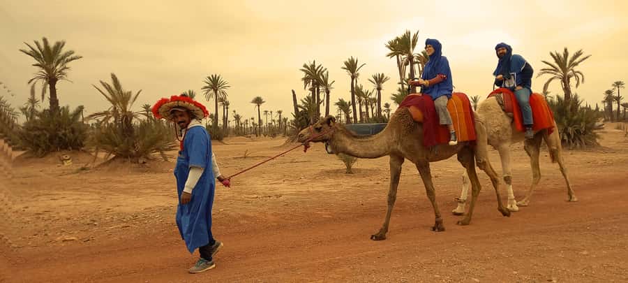 From Marrakech: Camel ride in the oasis palmeraie Grove - Inside the Experience: What Happens During the 3 Hours