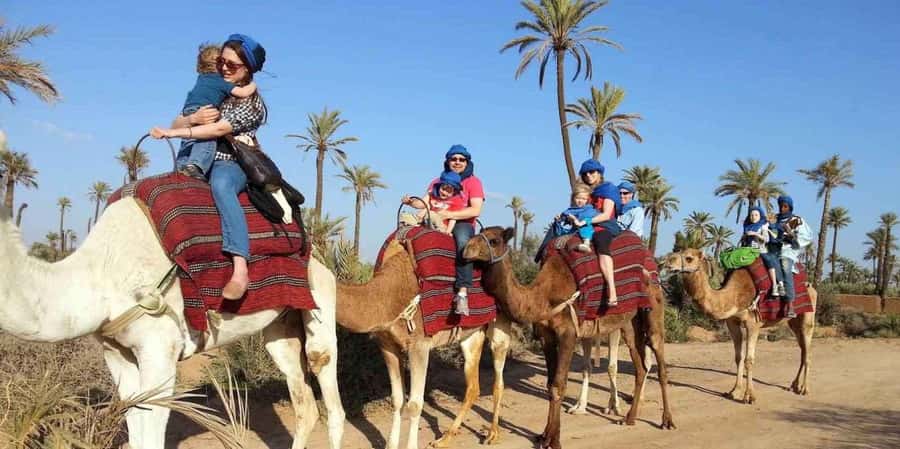 From Marrakech: Camel ride in the oasis palmeraie Grove - The One-Hour Camel Ride Through Palmeraie: What to Expect on Camelback