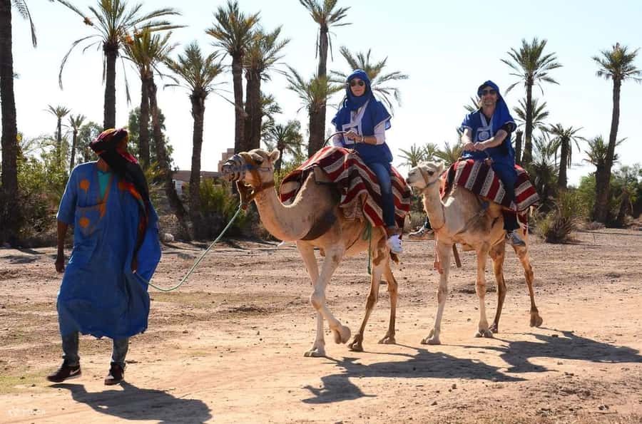 From Marrakech: Camel ride in the oasis palmeraie Grove - Mint Tea in a Berber House and the Nomadic Touches