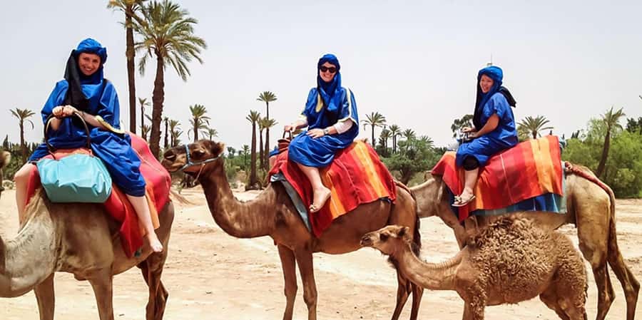 From Marrakech: Camel ride in the oasis palmeraie Grove - Price and Value: Is $18 a Good Deal?